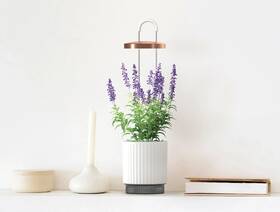 Chytrý květináč Click and Grow HydroVase bílý

 obrázek produktu 3 z 6