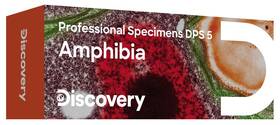 Sada Discovery Prof Specimens DPS 5 „OBOJŽIVELNÍCI“ 

 obrázek produktu 1 z 1