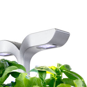 Chytrý květináč Véritable Exky SMART bílý

 obrázek produktu 6 z 11