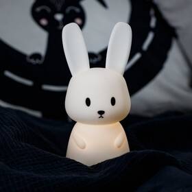 Dětská LED lampička InnoGIO RABBIT Midi bílá

 obrázek produktu 10 z 11