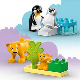 Stavebnice LEGO® DUPLO® 10442 Rodinky divokých zvířat: Tučňáci a lvi 

 obrázek produktu 4 z 9