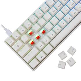 Klávesnice White Shark SHINOBI 2, US layout, Red Switch bílá

 obrázek produktu 2 z 11