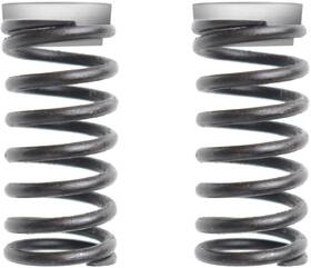 Pružina Sencor SCOOTER FRONT SPRINGS 23S 

 obrázek produktu 1 z 1