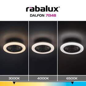 Stropní svítidlo Rabalux DALFON 71348, s ventilátorem bílé

 obrázek produktu 10 z 10