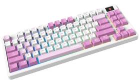 Klávesnice MSI FORGE GK600 TKL Wireless, CZ/SK růžová

 obrázek produktu 1 z 7