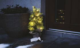 LED dekorace EMOS svítící stromek, 50 cm, 30LED, venkovní i vnitřní, teplá bílá, časovač 

 obrázek produktu 7 z 8