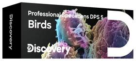 Sada Discovery Prof Specimens DPS 5. „PTÁCI“ 

 obrázek produktu 1 z 1