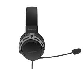 Headset Genesis TORON 301 Stereo černý

 obrázek produktu 4 z 6