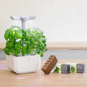 Chytrý květináč Véritable Exky SMART bílý

 obrázek produktu 11 z 11