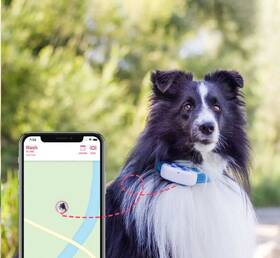 GPS lokátor Tractive DOG 4 LTE – sledování polohy a aktivity pro psy bílý

 obrázek produktu 2 z 9