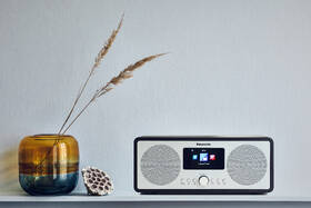 Internetový radiopřijímač s DAB+ Panasonic RF-D40EG-K černý/stříbrný

 obrázek produktu 10 z 11
