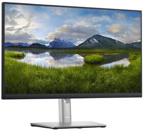 Monitor Dell Professional P2422H černý/stříbrný

 obrázek produktu 3 z 7