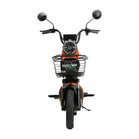 Elektrická motorka RACCEWAY Kobra oranžový 

 obrázek produktu 5 z 5