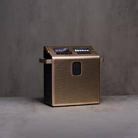 Přenosný reproduktor Mondo Speaker Medium zlatý

 obrázek produktu 5 z 6