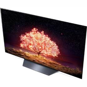 Televize LG OLED65B1 

 obrázek produktu 6 z 10
