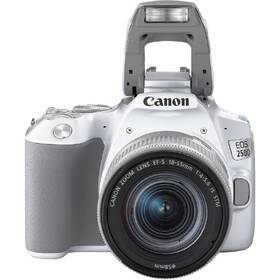 Digitální fotoaparát Canon 250D + 18-55 IS STM bílý

 obrázek produktu 4 z 7