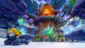 Hra Activision Crash Team Racing: Nitro Fueled 

 obrázek produktu 8 z 9