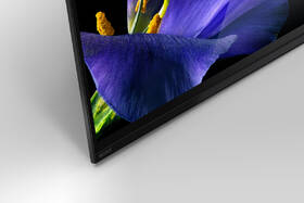 Televize Sony KD-55AG9 

 obrázek produktu 13 z 13