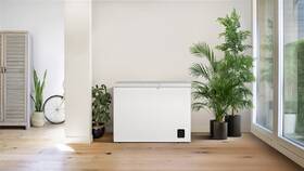 Mraznička Gorenje FHC30C6W5 bílá

 obrázek produktu 9 z 9