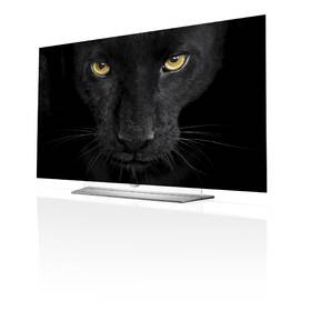 Televize LG 65EF950V stříbrný

 obrázek produktu 5 z 12