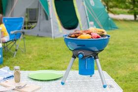 Gril zahradní plynový Campingaz Party Grill 200 

 obrázek produktu 12 z 12