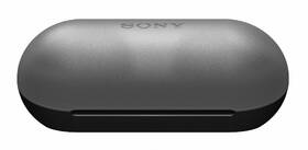 Sluchátka Sony WF-C500 černá

 obrázek produktu 5 z 8