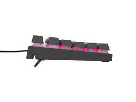 Klávesnice Genesis THOR 303 TKL, RGB, Outemu Peach Silent, US layout černá

 obrázek produktu 4 z 6
