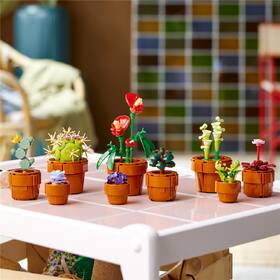 Stavebnice LEGO® Botanicals 10329 Miniaturní rostliny 

 obrázek produktu 2 z 8