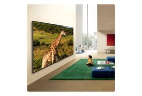 Televize LG 100QNED87B6 

 obrázek produktu 10 z 11