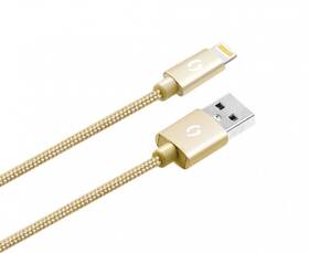 Kabel Aligator Premium USB/Lightning, 2m zlatý

 obrázek produktu 2 z 7
