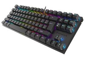 Klávesnice Genesis THOR 303, TKL, CZ/SK layout černá

 obrázek produktu 2 z 7