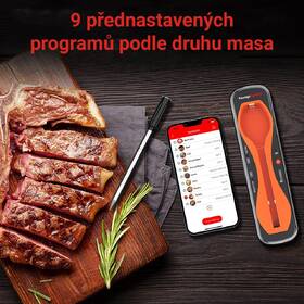 Teploměr do masa ThermoPro TempSpike oranžový

 obrázek produktu 4 z 4