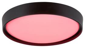 Stropní svítidlo Rabalux Achilles 3146 černá barva
