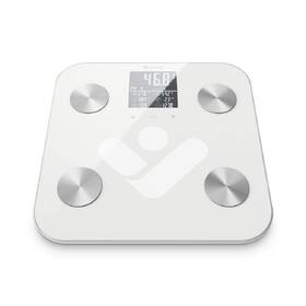 Osobní váha TrueLife FitShape S6 BT bílá/sklo

 obrázek produktu 7 z 9