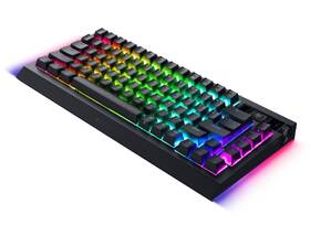 Klávesnice Razer BlackWidow V4 Pro 75%, US layout černá

 obrázek produktu 8 z 19
