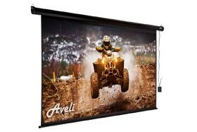 Plátno Aveli elektrické 265x149 cm 120" černé

 obrázek produktu 2 z 3