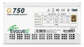 Zdroj Evolveo G750 White 750W 80+ Gold, ATX 3.1 bílý

 obrázek produktu 7 z 11