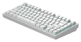 Klávesnice Dark Project ALU Terra Nova R2  US bílá

 obrázek produktu 4 z 8