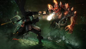 Hra Sony Nioh 

 obrázek produktu 3 z 11