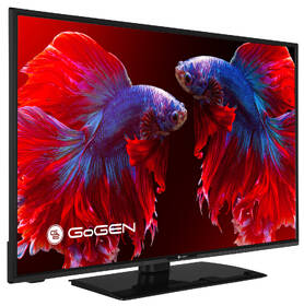 Televize GoGEN TVF 43P452T 

 obrázek produktu 4 z 5