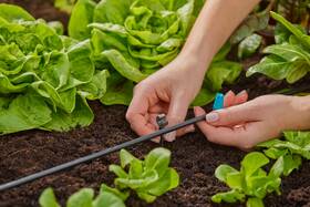 Držák trubky Gardena MicroDrip System 4,6 mm 3/16" (15 ks) 

 obrázek produktu 5 z 6