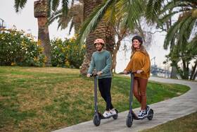 Elektrická koloběžka Ninebot by Segway E22E černá

 obrázek produktu 16 z 23