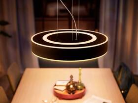 Závěsné svítidlo Philips Enrave černá barva
