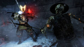 Hra Sony Nioh 

 obrázek produktu 8 z 11