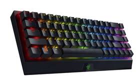 Klávesnice Razer BlackWidow V3 Mini HyperSpeed Yellow Switches černá

 obrázek produktu 2 z 11