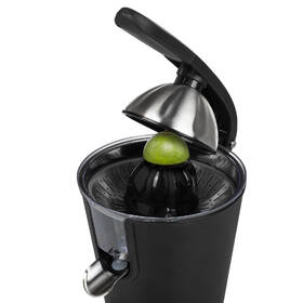 Lis na citrusy Princess 201853 černý

 obrázek produktu 4 z 14