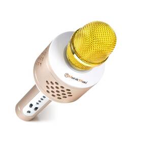 Karaoke mikrofon Technaxx BT-X35 stříbrný/zlatý

 obrázek produktu 10 z 10