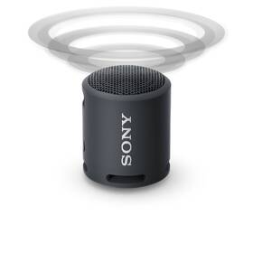 Přenosný reproduktor Sony SRS-XB13 černý

 obrázek produktu 5 z 10