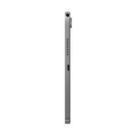 Dotykový tablet Lenovo Tab 4 GB / 128 GB + obal se stojanem šedý

 obrázek produktu 14 z 15