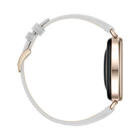 Chytré hodinky Huawei Watch GT 7 41 mm šedé

 obrázek produktu 6 z 6